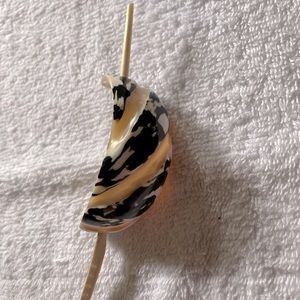 Ebilla para el cabello